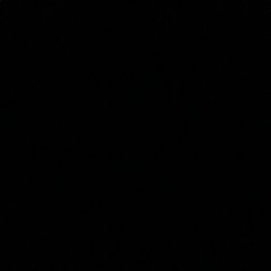 Meet your Posher, Lulu